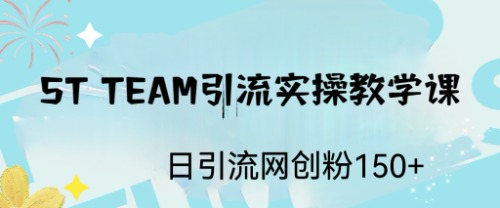 【副业项目6745期】ST TEAM引流实操课，日引流网创粉100+-知联副业