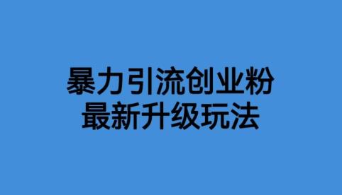 【副业项目6372期】价值1980一千个野路子暴力引流最新升级玩法【揭秘】-知联副业