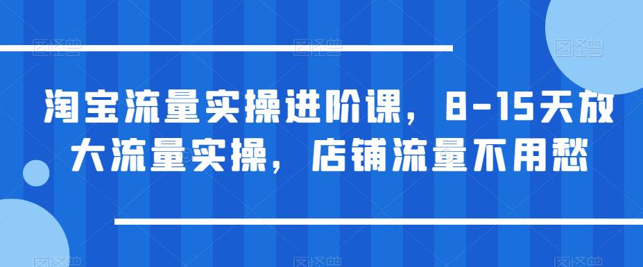 【副业项目6415期】淘宝流量实操进阶课，8-15天放大流量实操，店铺流量不用愁-知联副业