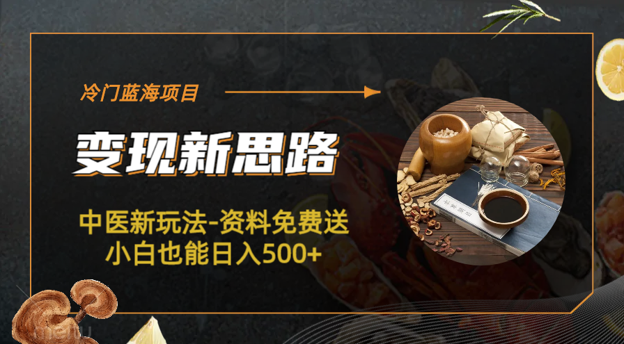 【副业项目6563期】冷门蓝海项目-中医新玩法-资料免费送小白也能日入500+-知联副业