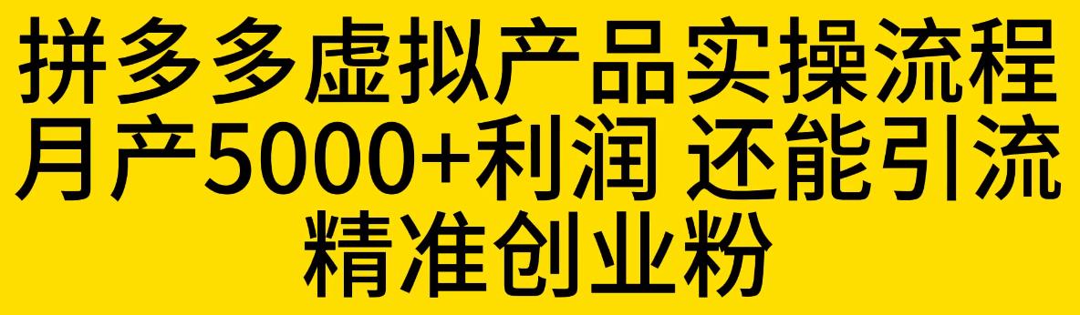 【副业项目6569期】拼多多虚拟产品实操流程，月产5000+利润，还能引流精准创业粉-知联副业