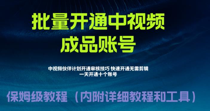 【副业项目6718期】外面收费1980暴力开通中视频计划教程，附 快速通过中视频伙伴计划的办法-知联副业