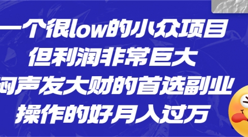 【副业项目6782期】一个很low的小众项目，但利润非常巨大，闷声发大财的首选副业，月入过万-知联副业