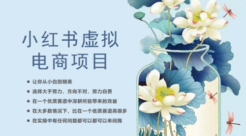 【副业项目6786期】小红书虚拟电商从0到1，让你从小白到精英（20节实操课程）-知联副业