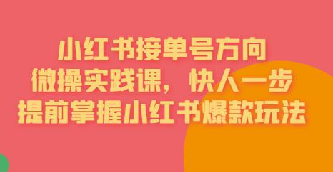 【副业项目6820期】接单号方向·小红书微操实践课，快人一步，提前掌握小红书爆款玩法-知联副业