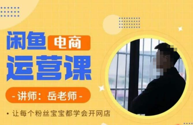 【副业项目6829期】岳老师·闲鱼电商运营课，让每个粉丝宝宝都学会开网店-知联副业