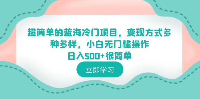 【副业项目6524期】超简单的蓝海冷门项目，变现方式多种多样，小白无门槛操作日入500+很简单-知联副业