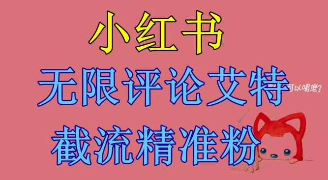 【副业项目6846期】小红书无限评论艾特截流精准粉（软件+教程）-知联副业