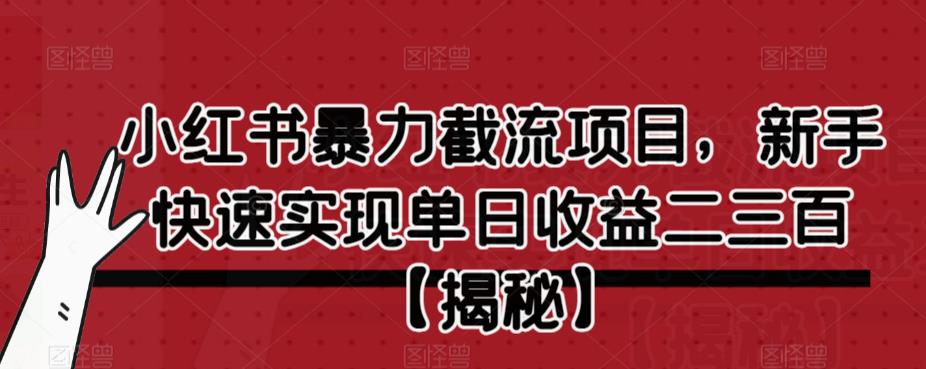 【副业项目6889期】小红书暴力截流项目，新手快速实现单日收益二三百【仅揭秘】-知联副业