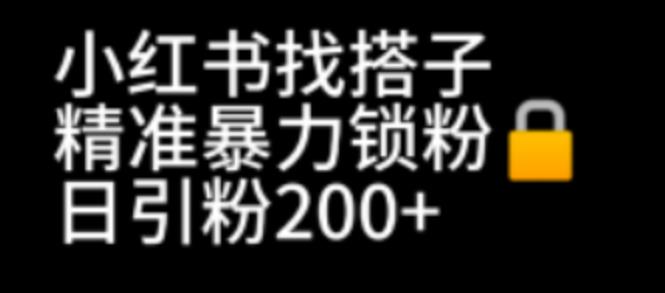 【副业项目7040期】小红书找搭子暴力精准锁粉+引流日引200+精准粉-知联副业