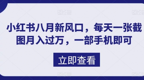 【副业项目7078期】八月新风口，小红书虚拟项目一天收入1000+-知联副业