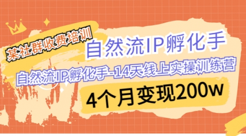 【副业项目7109期】自然流IP孵化手-14天线上实操训练营 4个月变现200w-知联副业
