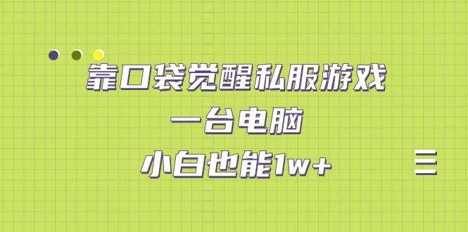 【副业项目7248期】靠口袋觉醒私服游戏，一台电脑，小白也能1w+（教程+工具+资料）-知联副业