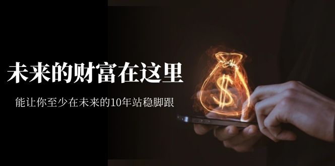 【副业项目7298期】某收费文章《未来的财富在这里》能让你至少在未来的10年站稳脚跟-知联副业