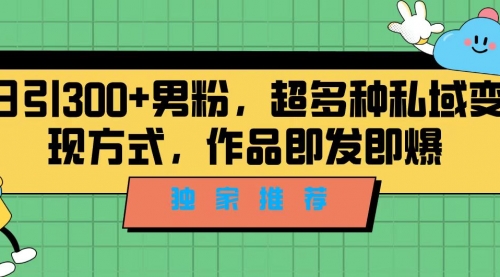 【副业项目7191期】独家推荐！日引300+男粉，超多种私域变现方式-知联副业