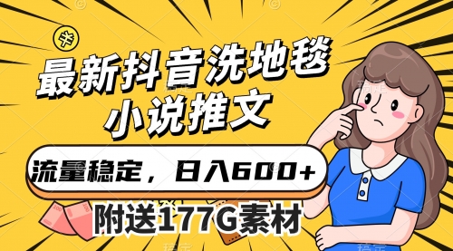 【副业项目7638期】最新抖音洗地毯小说推文，流量稳定，一天收入600（附177G素材）-知联副业