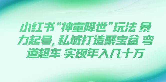 【副业项目7983期】小红书“神童降世”玩法 暴力起号,私域打造聚宝盆-知联副业