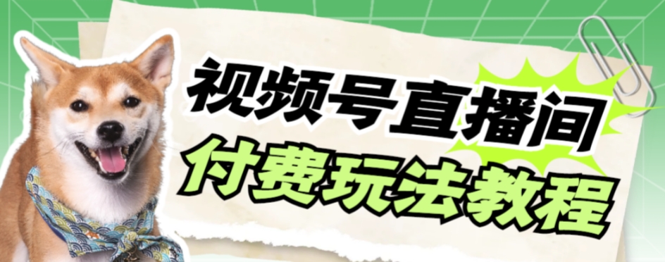 【副业项目7973期】视频号美女付费无人直播，轻松日入500+-知联副业
