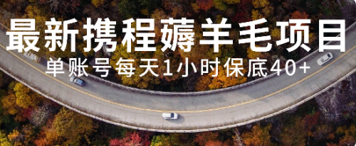 【副业项目8232期】最新携程薅羊毛项目，单账号每天1小时保底收益40+，可矩阵操作-知联副业
