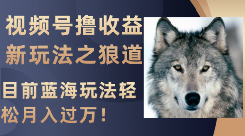 【副业项目8271期】视频号撸收益新玩法之狼道，目前蓝海玩法轻松月入过万！-知联副业