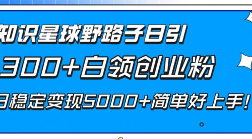 【副业项目8492期】知识星球野路子日引300+白领创业粉-知联副业