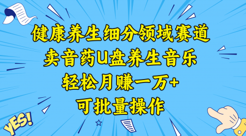 【副业项目8638期】健康养生细分领域赛道,卖音药U盘养生音乐,轻松月赚一万+,可批量操作-知联副业