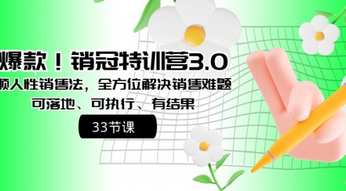 【副业8705期】销冠特训营3.0之顺人性销售法，全方位解决销售难题、可落地-知联副业