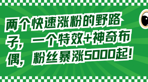 【副业8723期】两个快速涨粉的野路子，一个特效+神奇布偶，粉丝暴涨5000起！-知联副业