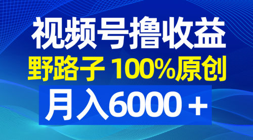 【副业8771期】视频号野路子撸收益，100%原创，条条爆款，月入6000＋-知联副业