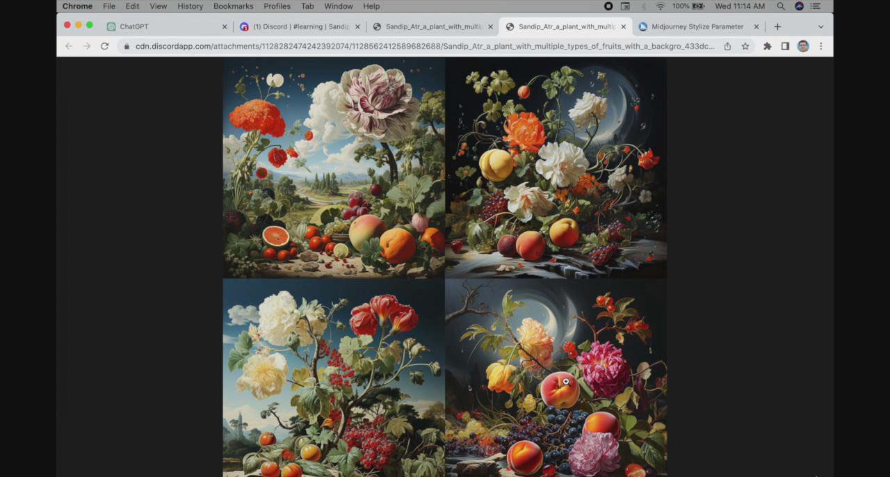 【副业8871期】ChatGPT4 和 MidJourney AI 绘画聊天革命性指南教程-33节视频课-中英字幕-知联副业