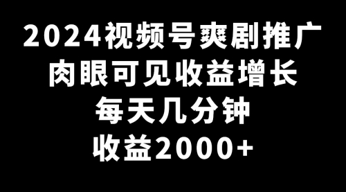 【副业9031期】2024视频号爽剧推广，肉眼可见的收益增长，每天几分钟收益2000+-知联副业