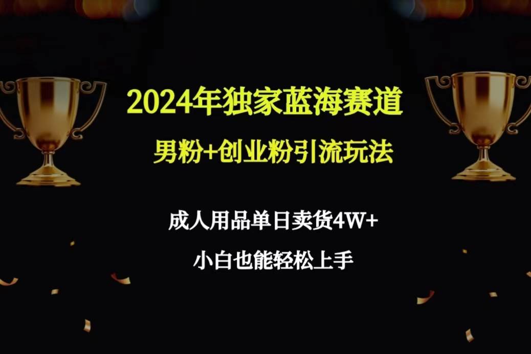 2024年独家蓝海赛道男粉+创业粉引流玩法，成人用品单日卖货4W+保姆教程-知联副业