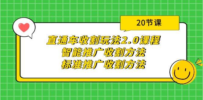 直通车收割玩法2.0课程：智能推广收割方法+标准推广收割方法（20节课）-知联副业