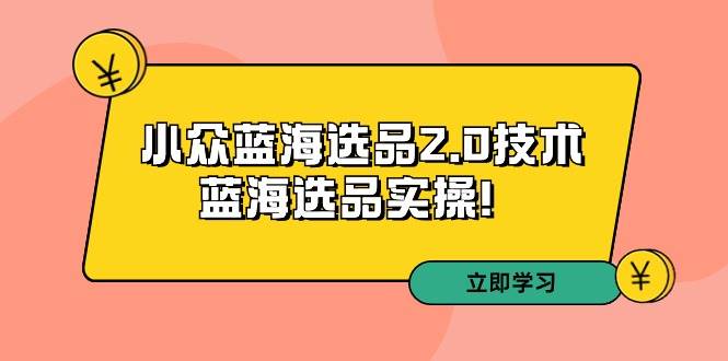 拼多多培训第33期：小众蓝海选品2.0技术-蓝海选品实操！-知联副业