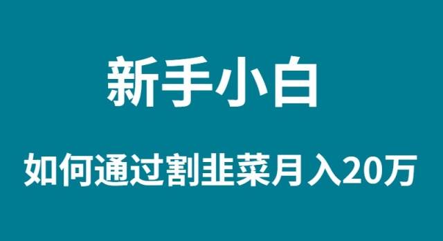 新手小白如何通过割韭菜月入 20W-知联副业