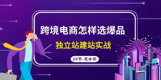 跨境电商怎样选爆品，独立站建站实战（20节高清无水印课）-知联副业