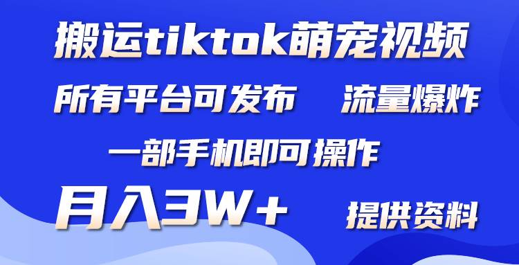 搬运Tiktok萌宠类视频，一部手机即可。所有短视频平台均可操作，月入3W+-知联副业