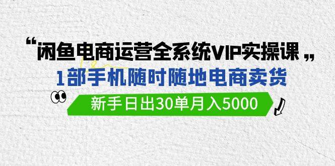 闲鱼电商运营全系统VIP实战课，1部手机随时随地卖货，新手日出30单月入5000-知联副业