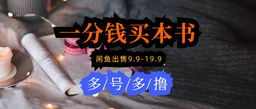 每天花1分钱买一本书，闲鱼出售9.9-19.9不等，多账号多撸 新手小白均可操作-知联副业