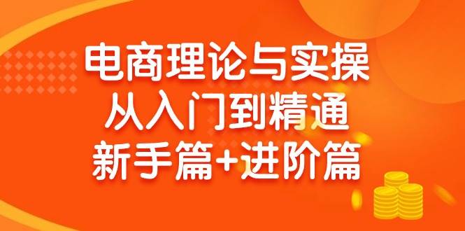 电商理论与实操从入门到精通 新手篇+进阶篇-知联副业