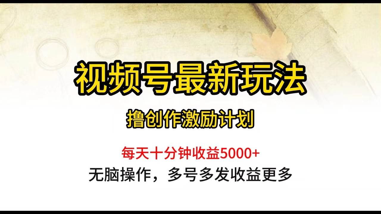 视频号最新玩法，每日一小时月入5000+-知联副业