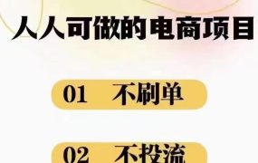 2024最新淘宝无货源电商,新手小白操作简单,长期稳定项目,日500-2000+-知联副业