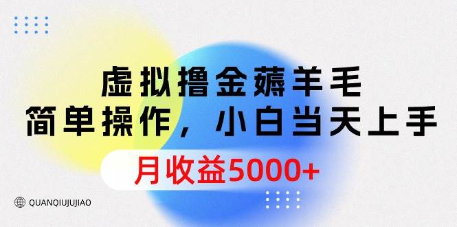 虚拟撸金薅羊毛，简单操作，小白当天上手，月收益5000+-知联副业