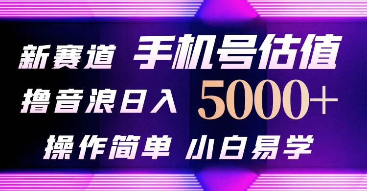抖音不出境直播【手机号估值】最新撸音浪，日入5000+，简单易学，适合…-知联副业