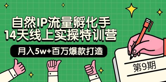 自然IP流量孵化手 14天线上实操特训营【第9期】月入5w+百万爆款打造 (74节)-知联副业