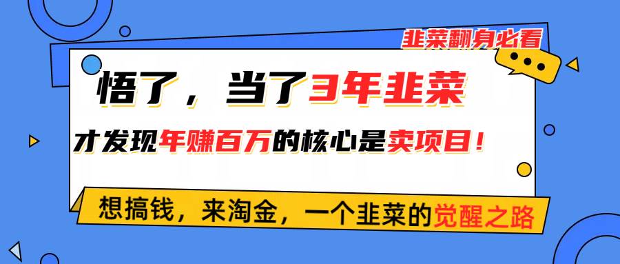 悟了，当了3年韭菜，才发现网赚圈年赚100万的核心是卖项目，含泪分享！-知联副业