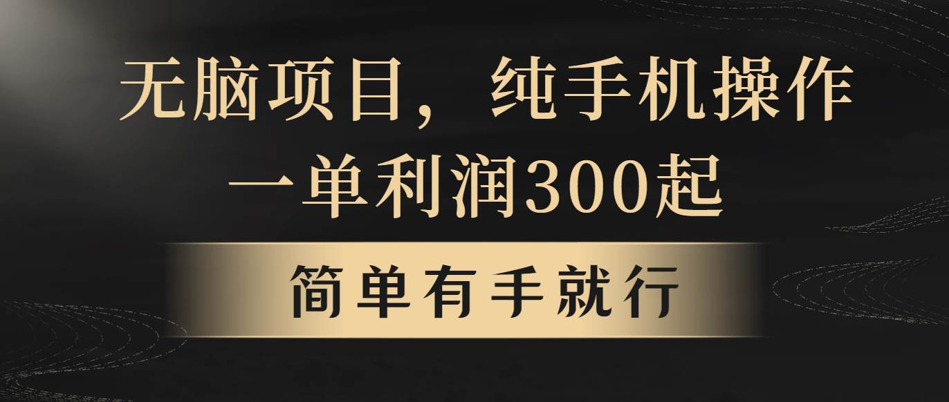 无脑项目，一单几百块，轻松月入5w+，看完就能直接操作-知联副业