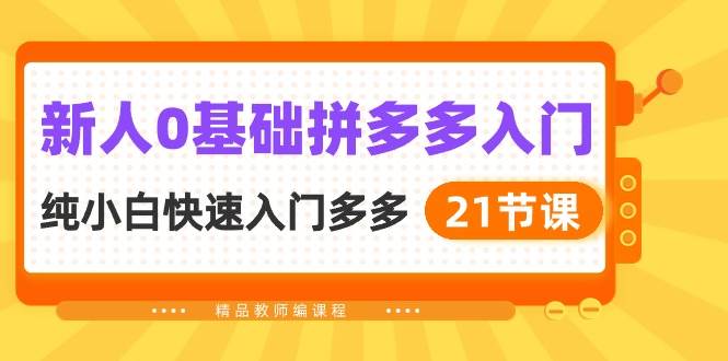 新人0基础拼多多入门，纯小白快速入门多多（21节课）-知联副业