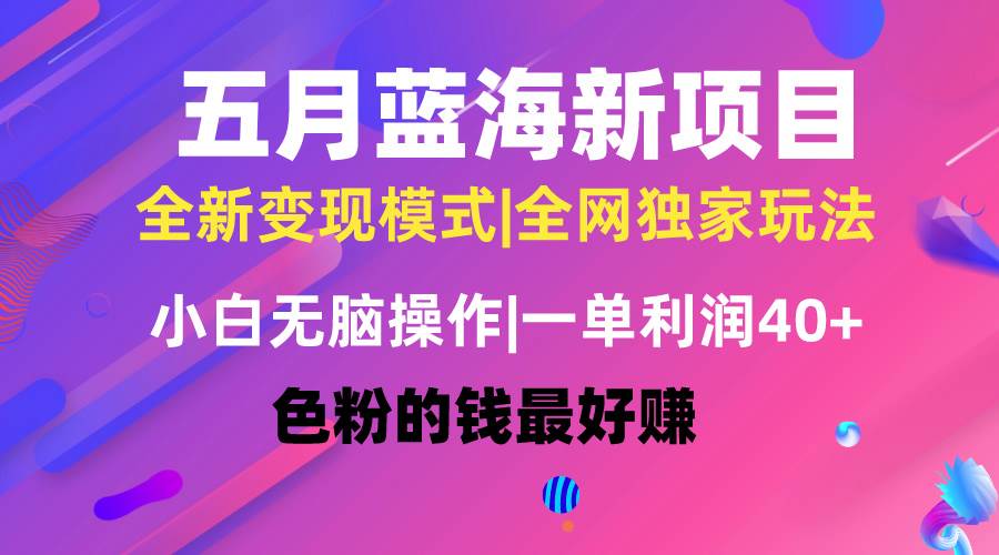 五月蓝海项目全新玩法，小白无脑操作，一天几分钟，矩阵操作，月入4万+-知联副业