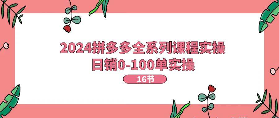 2024拼多多全系列课程实操，日销0-100单实操【16节课】-知联副业